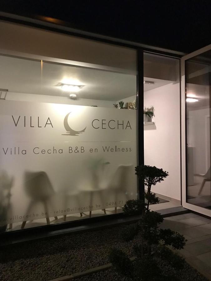 Villa Cecha B&b &Wellness Ostenda Esterno foto
